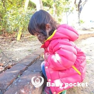 せんかちゃん1歳6ヵ月のご報告