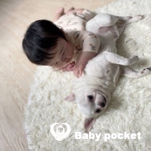 ぷにくん☆ハーフバースデー