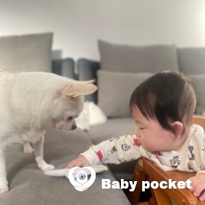 ぷにくん☆ハーフバースデー