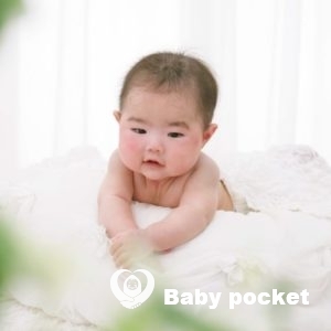 キイロイヒメちゃんのハーフバースデー