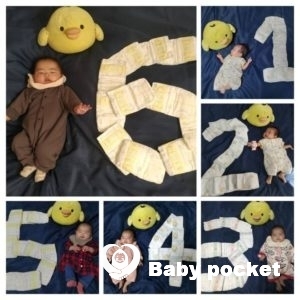 キイロイヒメちゃんのハーフバースデー