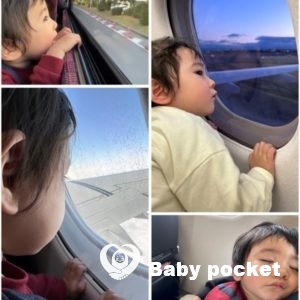 花火くん一歳半を迎えました☆