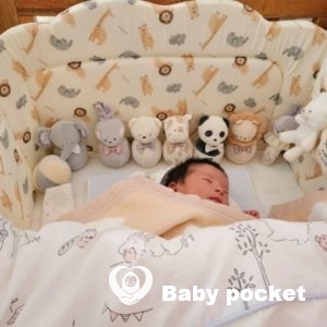 ナラちゃんをお迎えしました