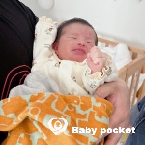 ナラちゃんをお迎えしました