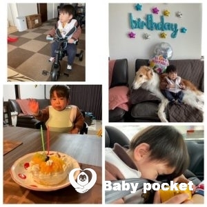 ⭐️ビーズくん、2歳になりました⭐️