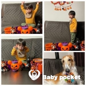 ⭐️ビーズくん、2歳になりました⭐️