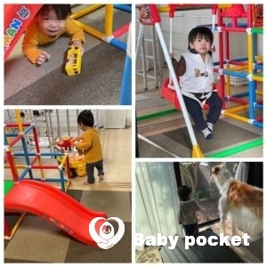 ⭐️ビーズくん、2歳になりました⭐️