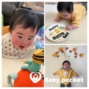 ソダシ君 ハーフバースデーを迎えました