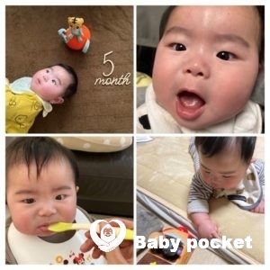 ソダシ君 ハーフバースデーを迎えました