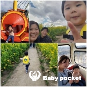 ルターくんが2歳11ヶ月になりました