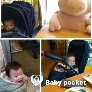 エンポリオくん1歳の誕生日と入籍のご報告