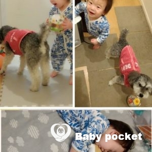 エンポリオくん1歳の誕生日と入籍のご報告