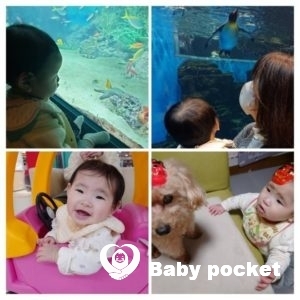 ぴんくうさぎちゃん、入籍と1歳のご報告