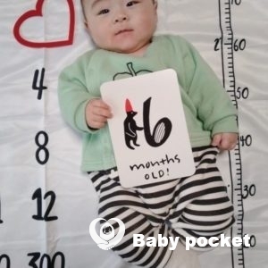 のぽ太くん ハーフバースデーのご報告