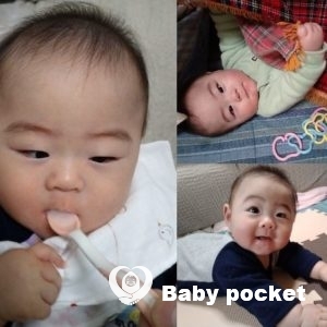 のぽ太くん ハーフバースデーのご報告