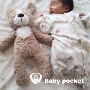 ホットミルクちゃんをお迎えしました