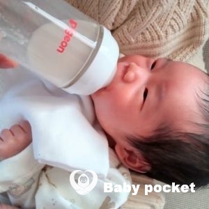 ホットミルクちゃんをお迎えしました