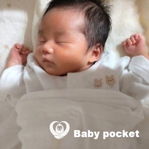 ホットミルクちゃんをお迎えしました