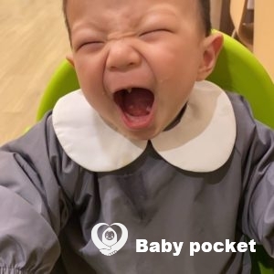 ヴェル君入籍のご報告