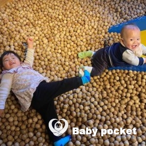 アリーシア君 1歳誕生日のご報告