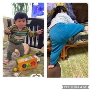 ユッカくん1歳になりました!