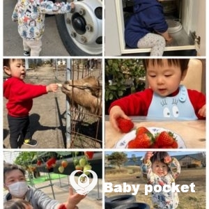 ふー太くん1歳6か月になりました☆