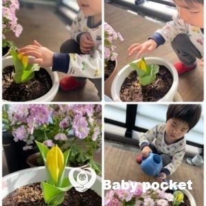 かいせいくん4歳になりました