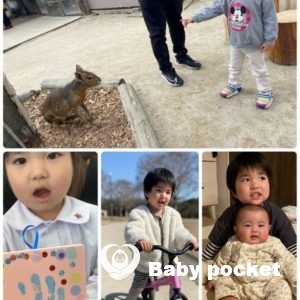 かいせいくん4歳になりました