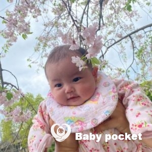 ららちゃん100日のお祝い