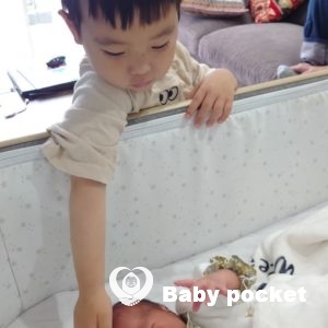 ダイヤちゃんをお迎えしました