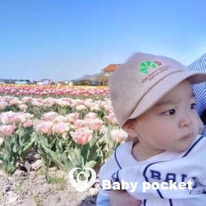 ルンゼくん 入籍のご報告