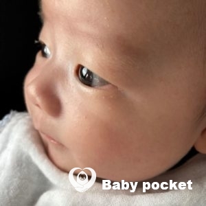 ラッキーぱんだくん 1か月健診とお宮参りのご報告