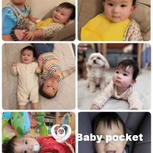 ポテちゃん入籍のご報告☆