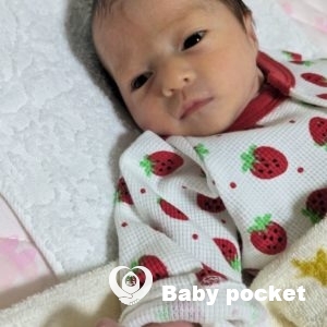 ひまちゃんをお迎えしました