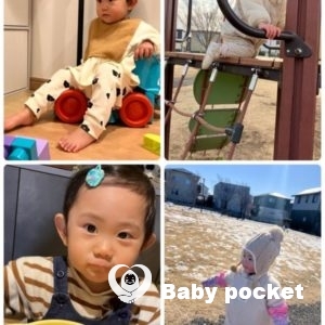 マラサダちゃん1歳8ヶ月になりました