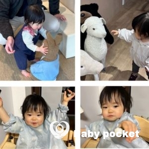 レモンイエローちゃん1歳6ヶ月を迎えました