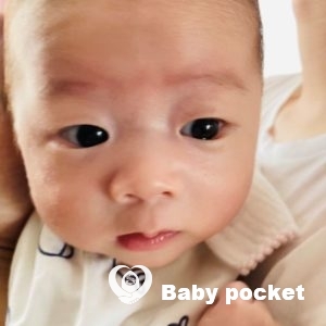 ラッキーぱんだくん 初節句を迎えました