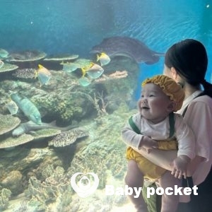 初節句のご報告