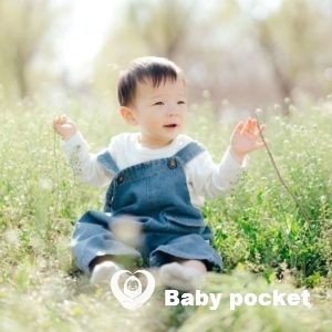 ヴェルくん 1歳のご報告