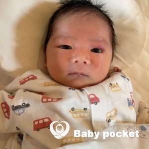 おかかくんをお迎えしました