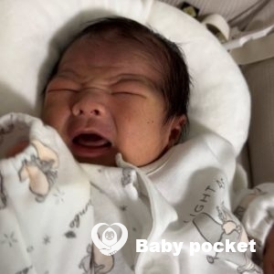 承太郎くんをお迎えしました