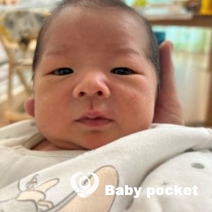 承太郎くんをお迎えしました