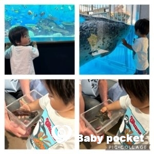 チャムスくん1歳6ヶ月・GWのご報告