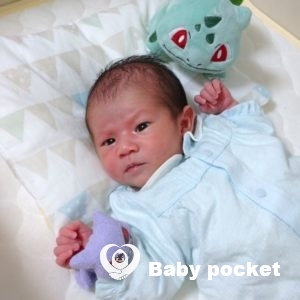 ポキールくんをお迎えしました