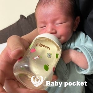 ポキールくんをお迎えしました