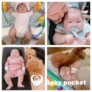 スイートピーちゃん100日記念撮影