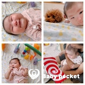 スイートピーちゃん100日記念撮影