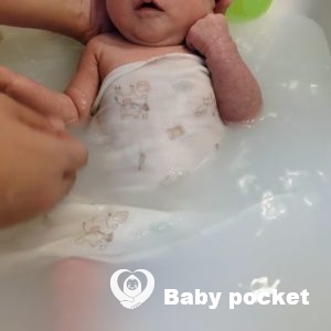 ひまちゃん1ヶ月検診のご報告