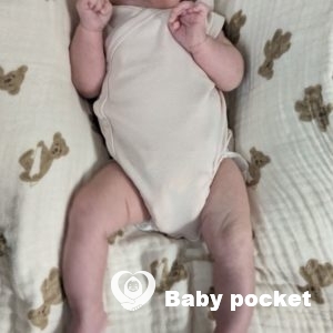 ひまちゃん1ヶ月検診のご報告