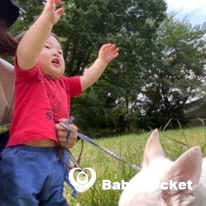 入籍と初節句のご報告